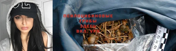 гидропоника Белоозёрский