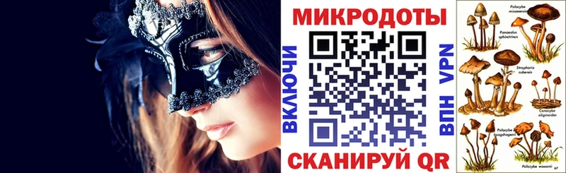 Псилоцибиновые грибы Psilocybe  Котово 