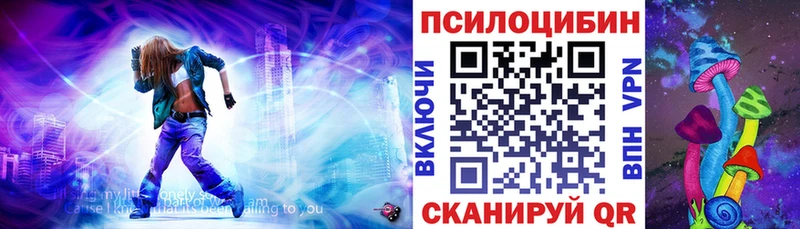 Галлюциногенные грибы Psilocybe Котово